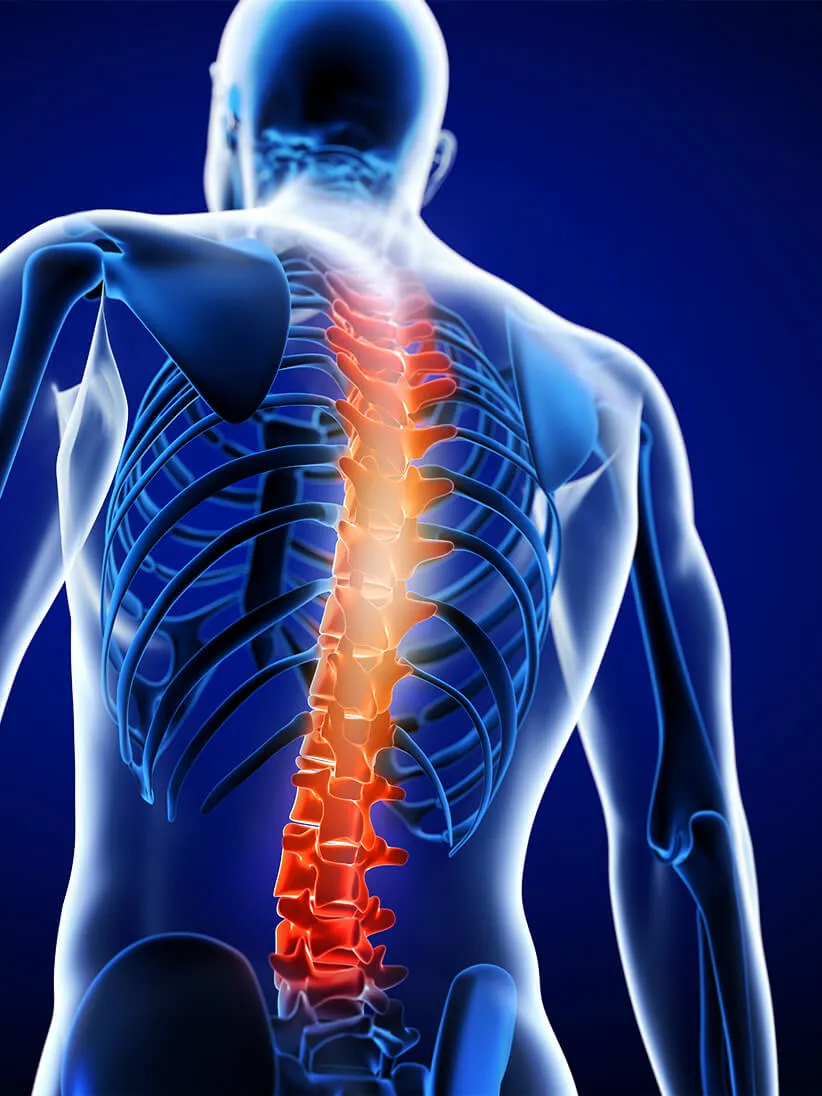 affordable chiropractor in the bronx, NY